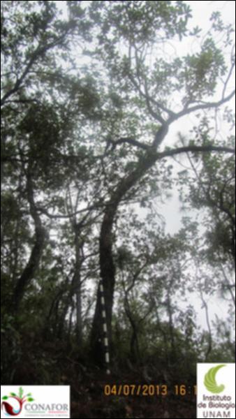75149_S4_ARC_20130704_009_001.jpg.jpg