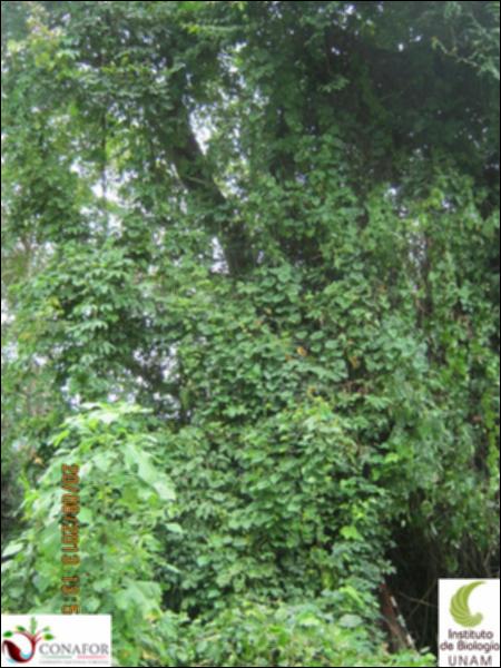 77431_S2_ARC_20130820_001_001.jpg.jpg