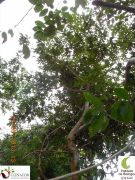 68600_S1_ARC_20130926_007_002.jpg.jpg