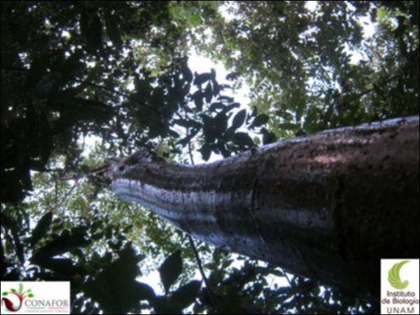 54962_S1_ARC_20130702_026_001.jpg.jpg