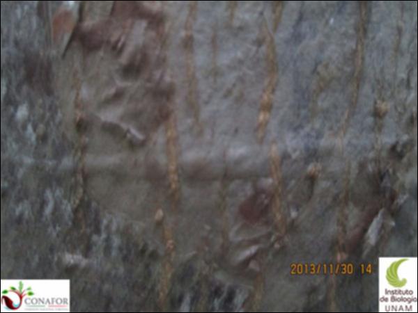 62011_S1_CRT_20131130_002.jpg.jpg