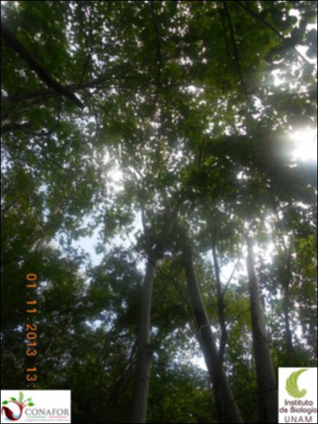 68540_S1_ARC_20131101_012_002.jpg.jpg