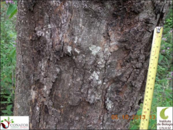 62842_S1_CRT_20131005_006_001.jpg.jpg