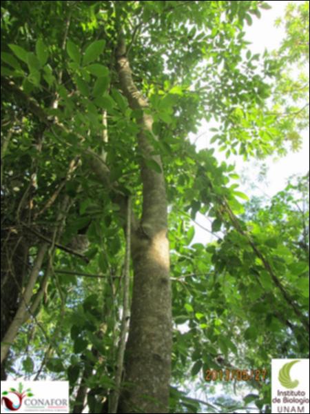 59444_S1_ARC_20130527_018_001.jpg.jpg