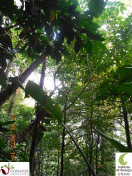 72321_S4_ARC_20130509_049_002.jpg.jpg