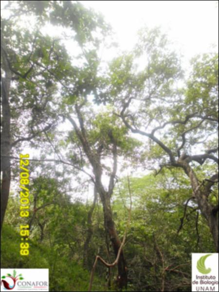 58205_S4_ARC_20130812_008.jpg.jpg