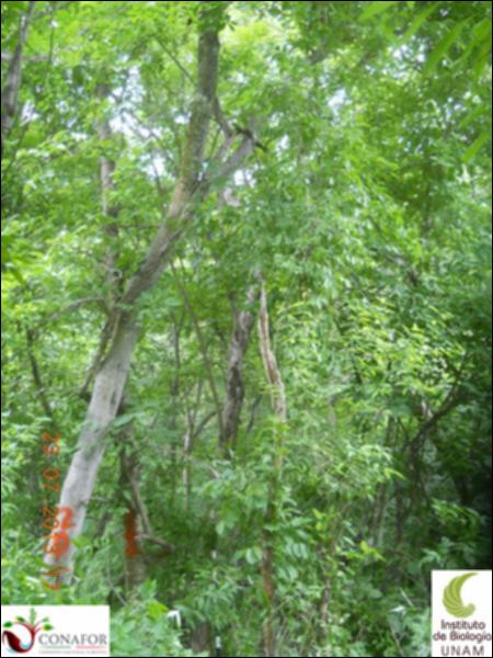 76824_S1_ARC_20130723_017_001.jpg.jpg
