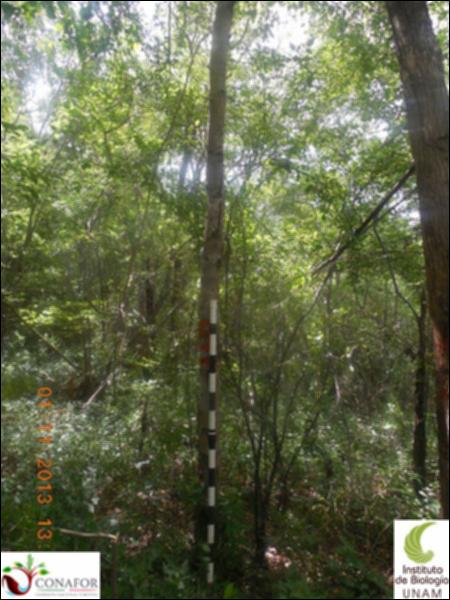 68540_S1_ARC_20131101_005_001.jpg.jpg