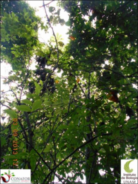 71541_S4_ARC_20130903_003_002.jpg.jpg