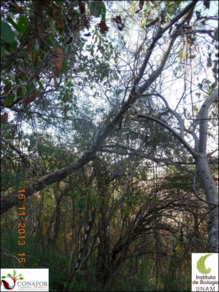 68062_S1_ARC_20131116_012_001.jpg.jpg
