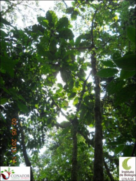 64990_S1_ARC_20130501_014_002.jpg.jpg