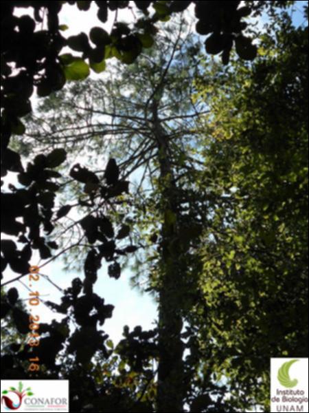 59366_S1_ARC_20131002_024_002.jpg.jpg