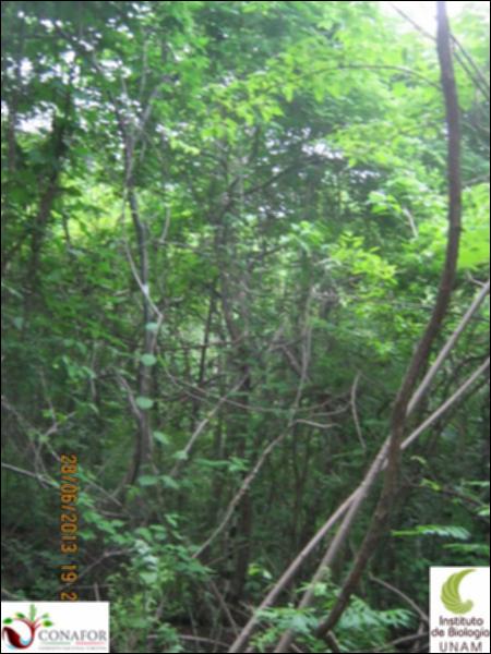 77577_S1_ARC_20130628_032_001.jpg.jpg