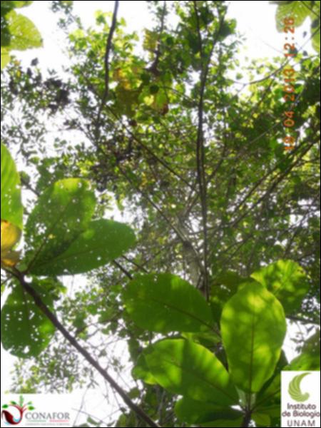 58873_S1_ARC_20130418_016_002.jpg.jpg