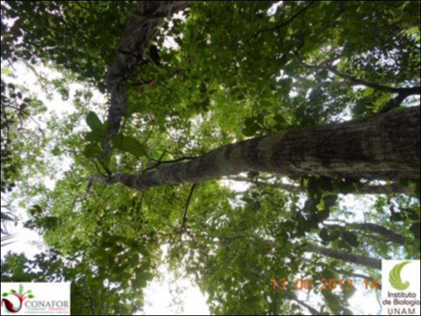 49579_S2_ARC_20130613_048_001.jpg.jpg