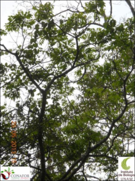 74196_S1_ARC_20130525_015_002.jpg.jpg