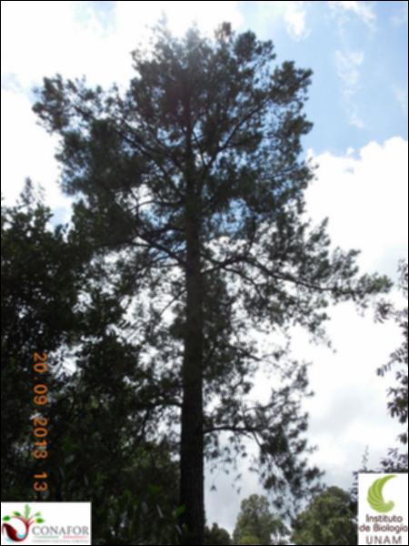 61111_S2_ARC_20130920_016_002.jpg.jpg