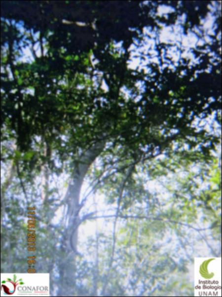 50275_S1_ARC_20130611_006_001.jpg.jpg