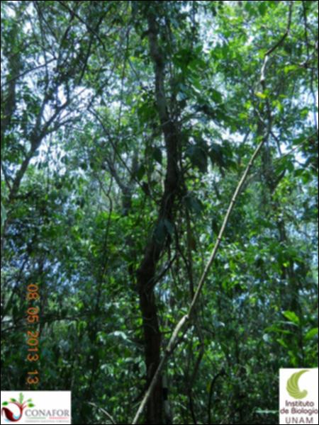 72102_S1_ARC_20130507_017_001.jpg.jpg
