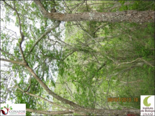 66904_S1_ARC_20130708_011.jpg.jpg