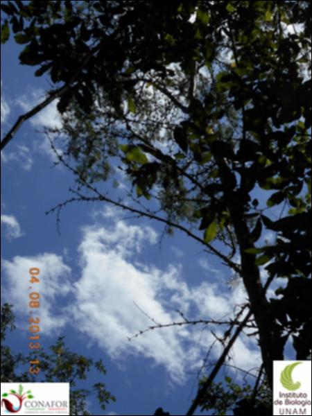 73508_S1_ARC_20130804_024_001.jpg.jpg
