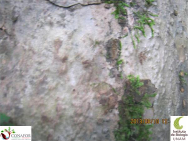 46793_S2_CRT_20130810_002.jpg.jpg