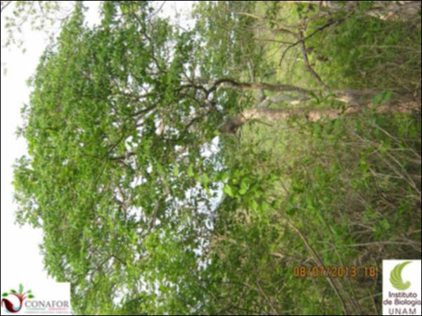 66904_S1_ARC_20130708_006.jpg.jpg
