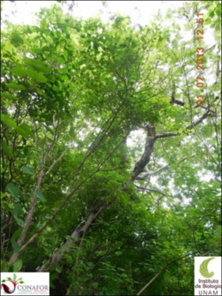 77267_S1_ARC_20130701_005_001.jpg.jpg