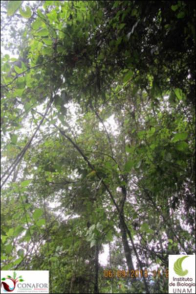 71987_S1_ARC_20130905_005_002.jpg.jpg