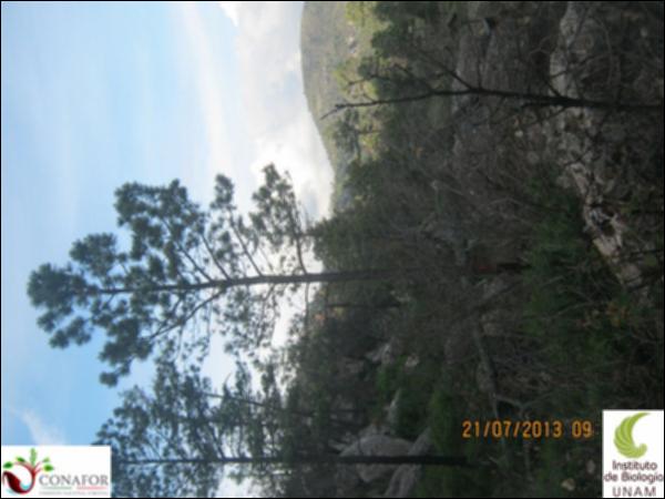 34398_S4_ARC_20130721_002.jpg.jpg
