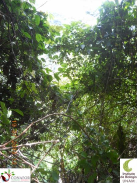 76066_S2_ARC_20130718_012_001.jpg.jpg