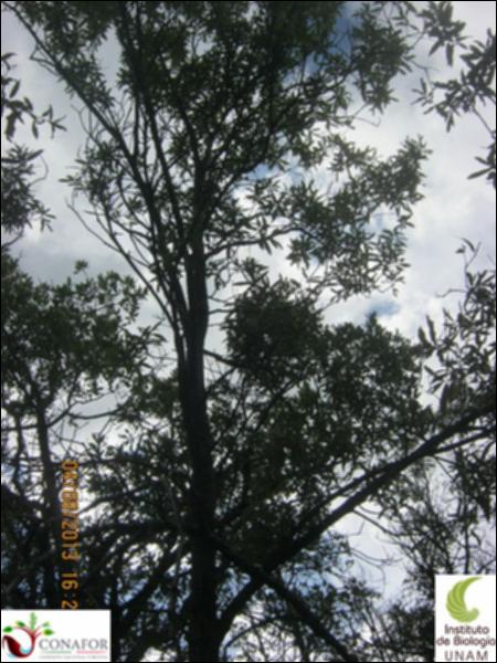 10467_S2_ARC_20130804_003.jpg.jpg