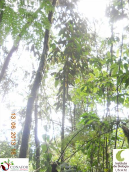 70761_S2_ARC_20130612_005_002.jpg.jpg