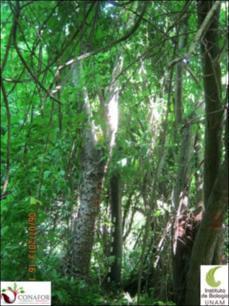77662_S1_ARC_20130705_027_001.jpg.jpg