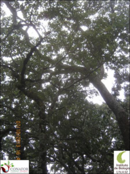 66080_S2_ARC_20131007_005_002.jpg.jpg
