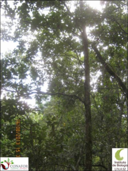 73916_S2_ARC_20130816_028_002.jpg.jpg