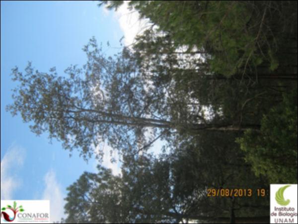 38426_S1_ARC_20130830_025.jpg.jpg