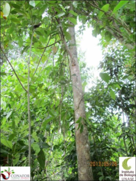 59434_S4_ARC_20130526_010_001.jpg.jpg
