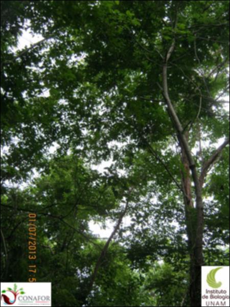 77515_S1_ARC_20130630_012_002.jpg.jpg