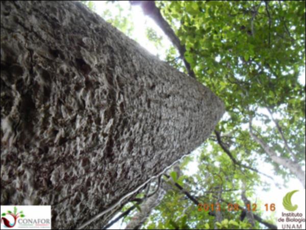56401_S4_ARC_20130812_055_001.jpg.jpg