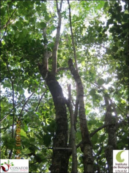 50275_S2_ARC_20130611_021_001.jpg.jpg