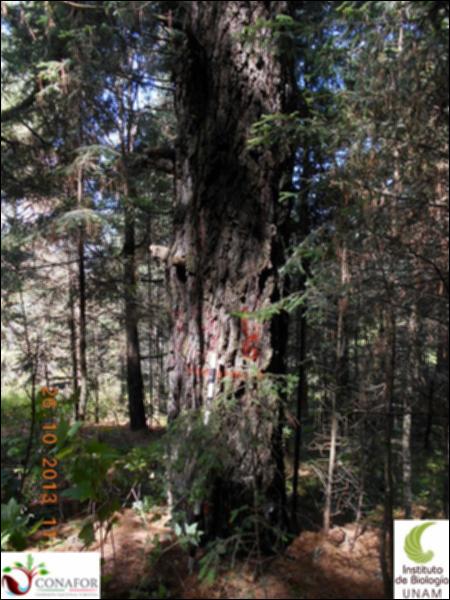 61591_S2_ARC_20131026_014_001.jpg.jpg