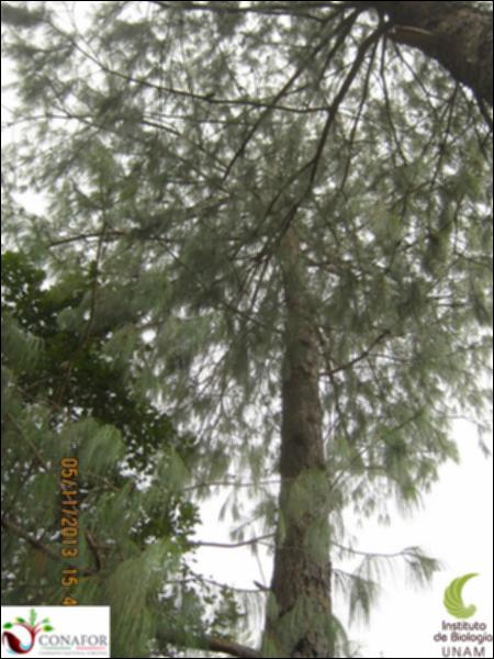 60636_S1_ARC_20131105_004_002.jpg.jpg