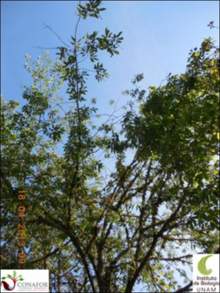52528_S2_ARC_20130417_033_001.jpg.jpg