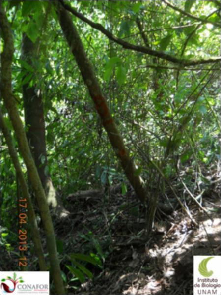 54882_S1_ARC_20130416_008_001.jpg.jpg