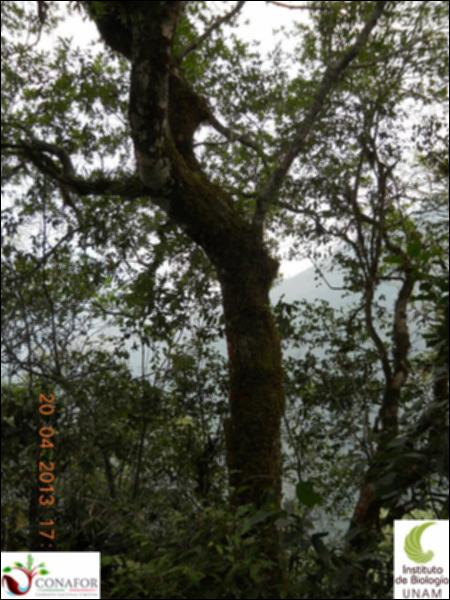 51598_S1_ARC_20130420_003_001.jpg.jpg
