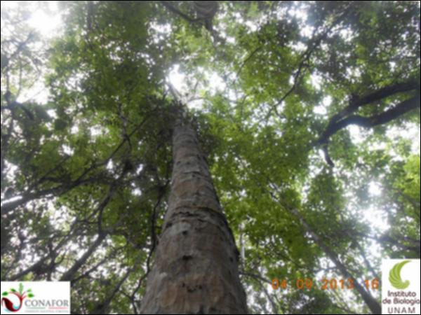 64820_S1_ARC_20130904_001_001.jpg.jpg