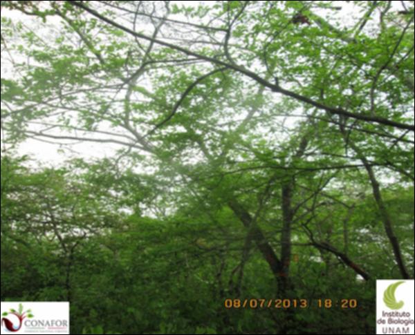 52163_S1_ARC_20130708_001.jpg.jpg