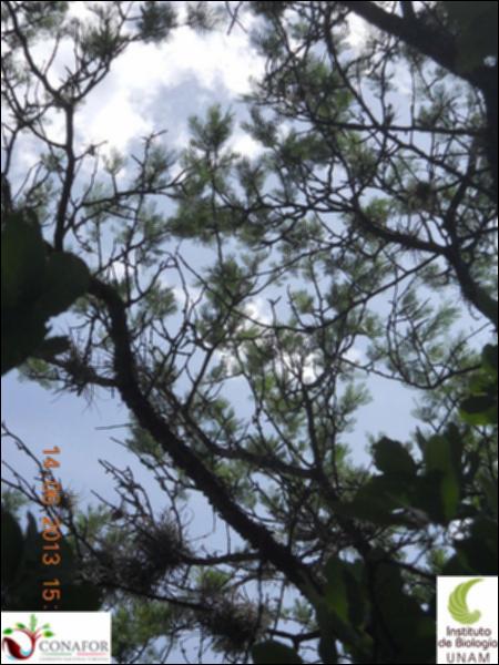 75164_S3_ARC_20130614_019_002.jpg.jpg