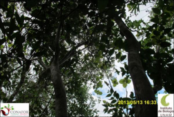 62750_S1_ARC_20130513_001_001.jpg.jpg